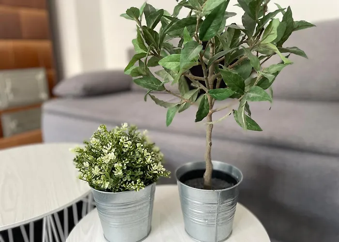 City Apartment Berlin * ברלין